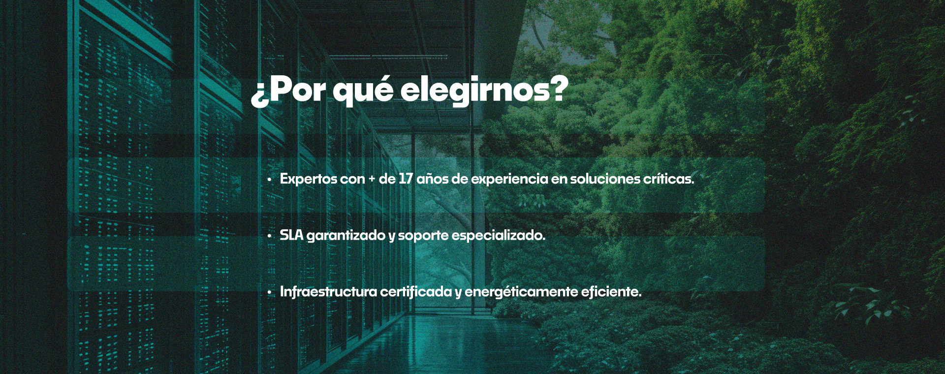 Descripción